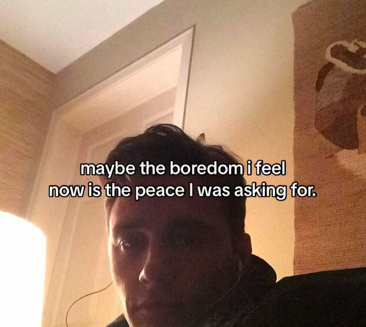 wildtiktokss's tweet image. 