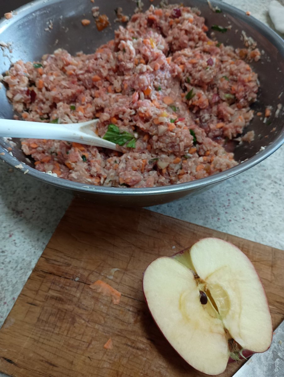 Anybody else make their own dog food?