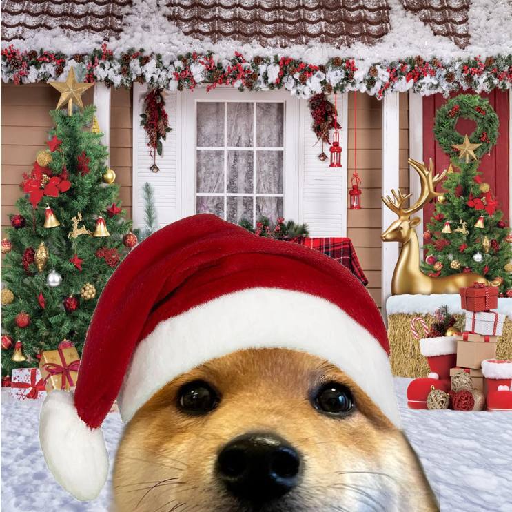 Loucoincto's tweet photo. Santa is coming to town and his name is $Lou. 🐶🎅 https://t.co/ihyN4Psm6i
