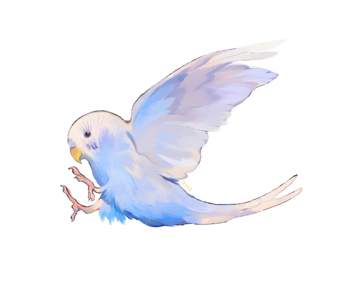 Sweet budgie! This months exclusive sticker mail  
