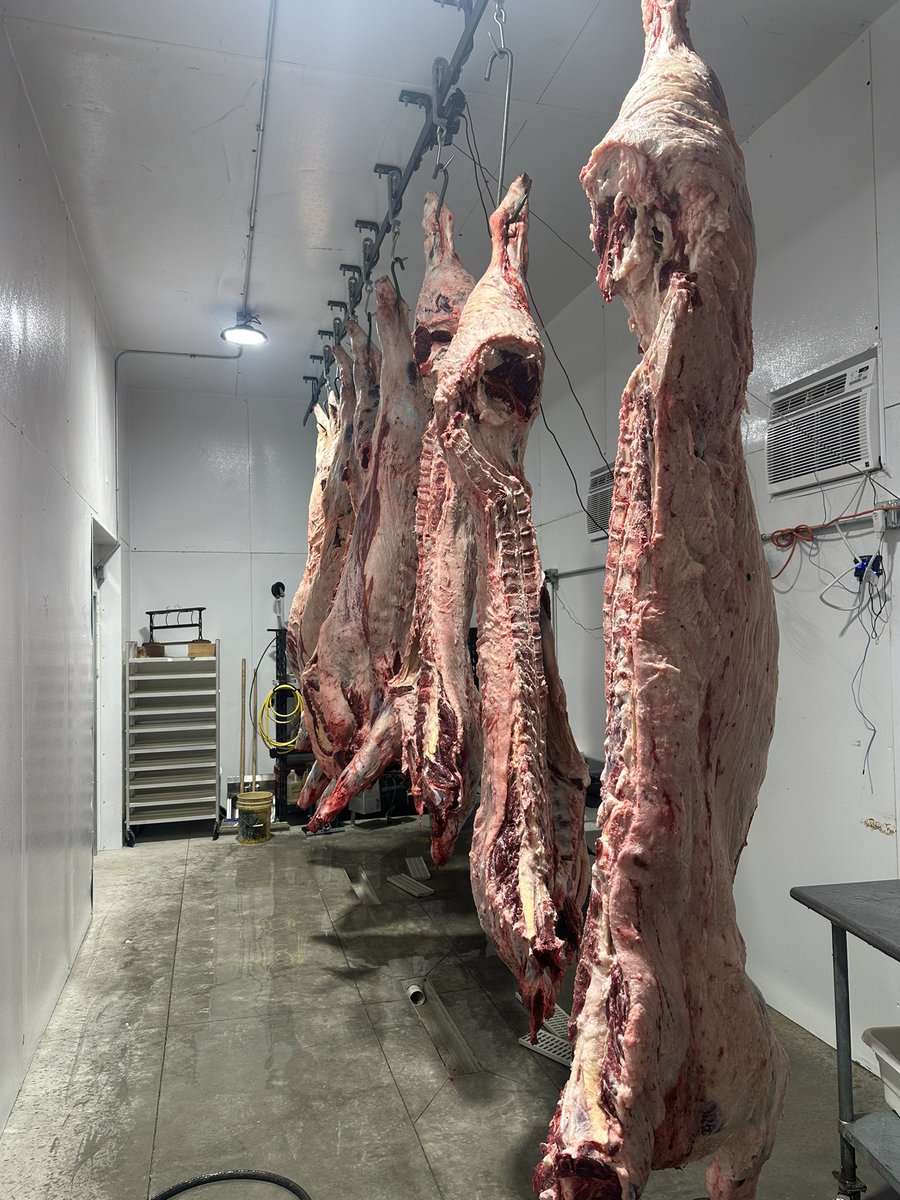 Tweeter kaboys said row croppers needed to buy cattle… so I did. Am I doing this right or….