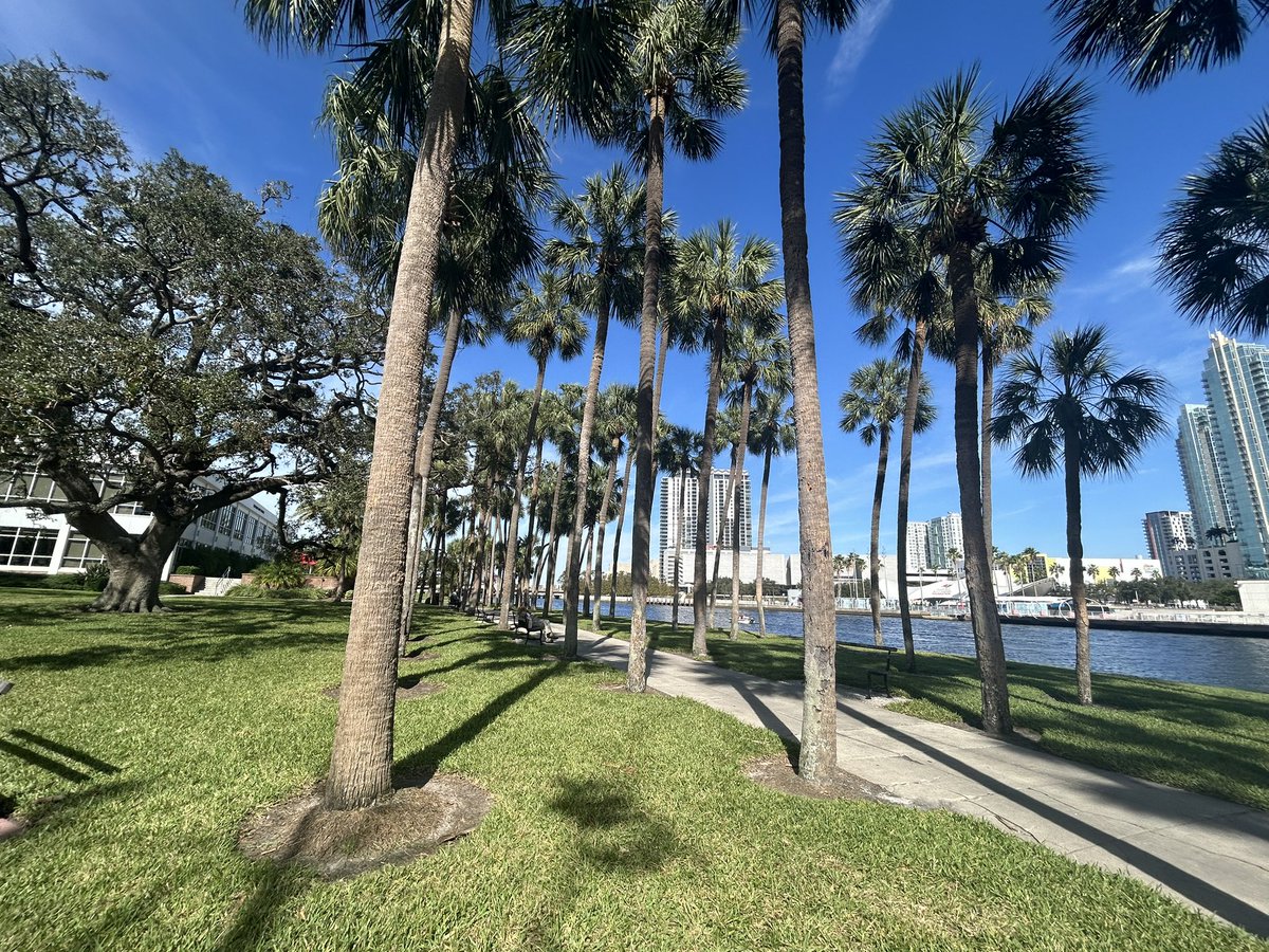 dianeljacks's tweet photo. Thrilled to have accepted a position as Assistant Professor of Media Analytics at the University of Tampa starting this fall! The academic job market is tough &amp; I’m so lucky for mentors, friends, &amp; family who were there each step of the way. Excited to be on the campus everyday! https://t.co/cMN7HuUJ2B