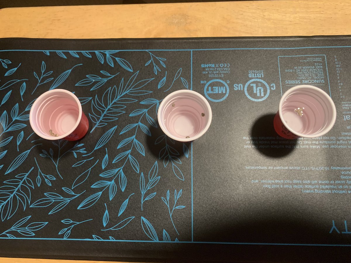 Bignz420's tweet photo. Got the #MarsHydro 5x5 all cleaned and reset now it’s germination time. We got 3 FX3 from @SolfireGardens 3 Bruised Banana from DNA Genetics and 3 Blue Berry Sprinklez from CopyCat Genetics. #StonerFam #CannabisCommunity #CannaLand #growyourown #Homegrown #GrowTime #420community https://t.co/p8WOvCxfya