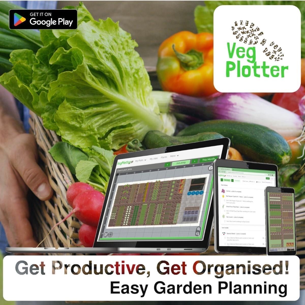 veg_plotter's tweet image. 🌱 VegPlotter app is now on the Google Play Store! 📱 Easily plan your vegetable garden with VegPlotter’s intuitive interface. Design layouts, track plantings, &amp;amp; get regional tips. Whether you’re a newbie or a pro, grow fresh produce at home! Download now! 🌿

#VegPlotter…