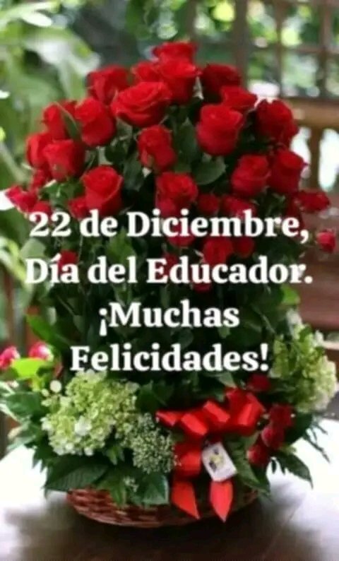 Desde el Comité Nacional de la Unión de Historiadores de Cuba, las felicitaciones para los educadores cubanos, especialmente a los Asociados de la Unhic.
#CubaViveEnSuHistoria
#Felicidades
#Unhic