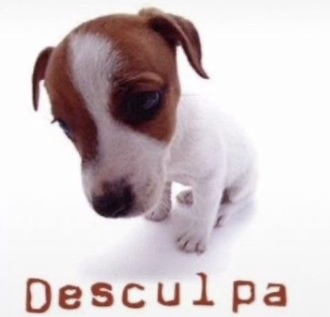 quero deixar claro meu frustramento comugo mesmo pq eu nao sei flertar sem parecer o maior inimigo da pessoa