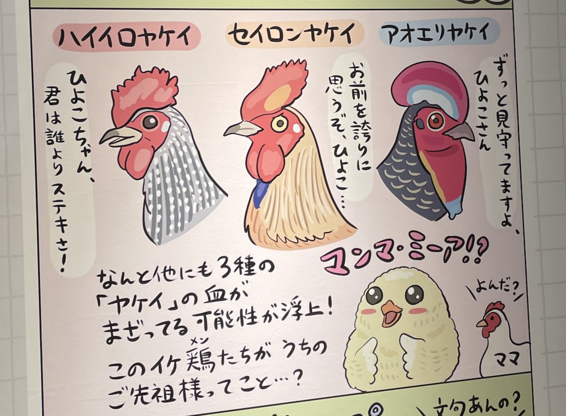 鳥展のこれがミュージカルネタだとわかってくれた方もいるようだ(ママ役→メリル・ストリープ) 
