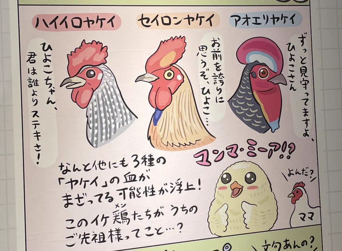 鳥展のこれがミュージカルネタだとわかってくれた方もいるようだ(ママ役→メリル・ストリープ) 