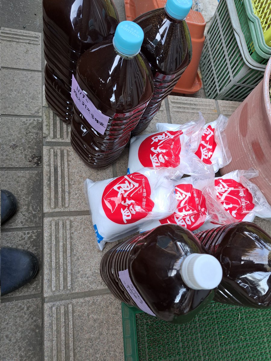 cymatics2020k's tweet photo. おはようございます🌞

畑の奧に小さな畑を開墾✨

試験的に四隅の整流結界に結界団子、整流炭、塩、活性液に+して飲みづらいピューレも流して埋設

結界団子に巻き付けた紐を地上に出して、ホール結界ボトルの紐と連結してボトルを半分埋める形で四隅に設置(支柱無し)

塩5kgと活性液10Lを散布 https://t.co/z8jaTso01E