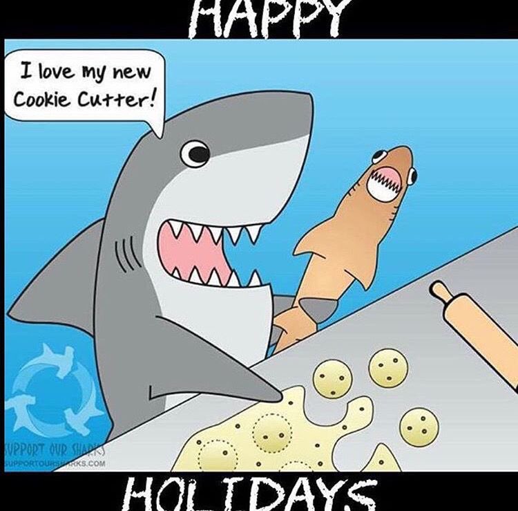 Susan Kulstad tweet media