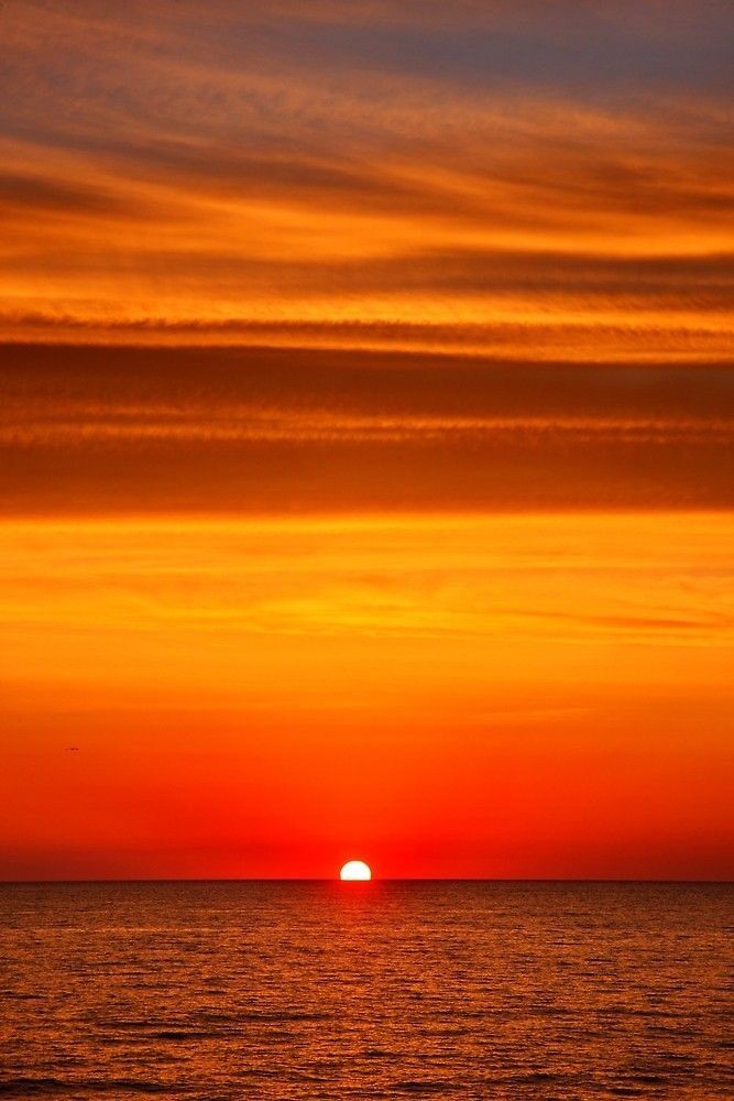 Good morning🌞mates

Mornings are proof that endings can be beautiful beginnings..