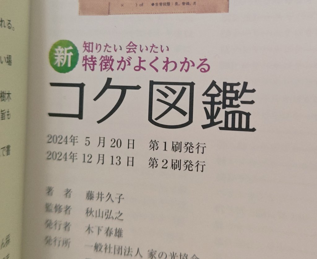 藤井久子|FUJII HISAKO tweet media