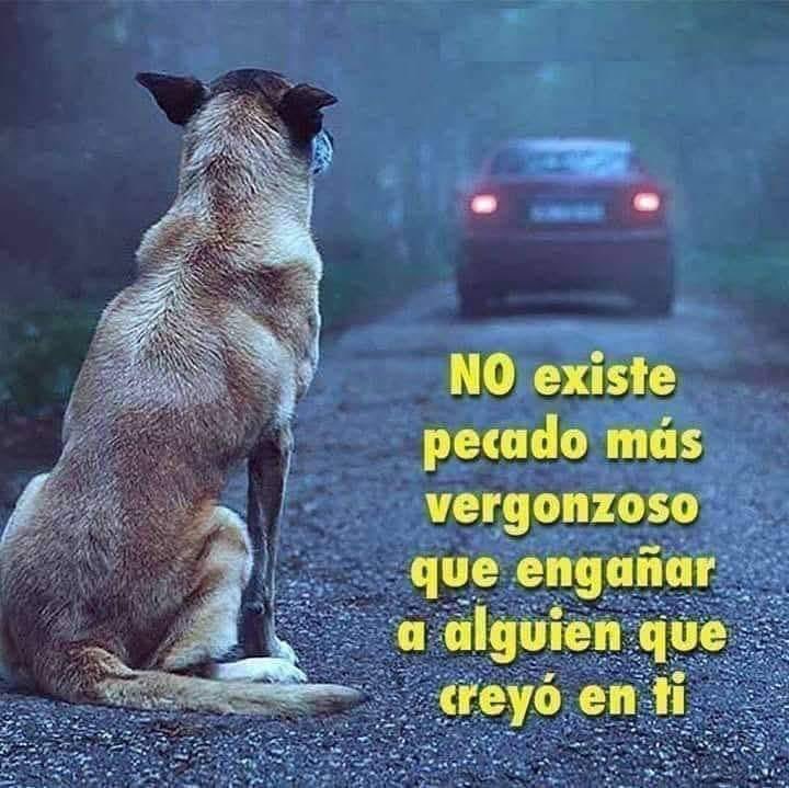 NO abandones ‼️