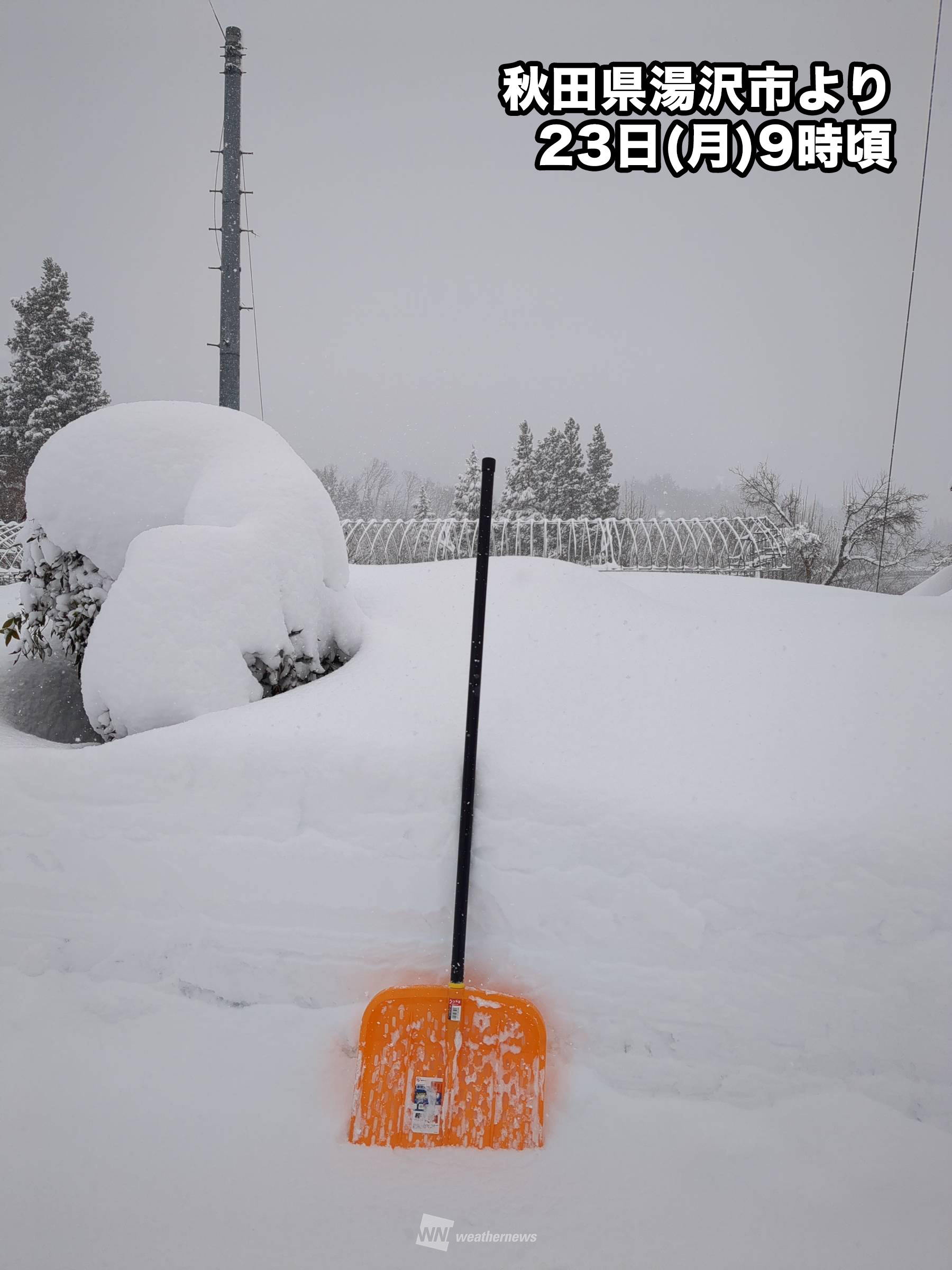 重要】大雪による配送への影響についてのお知らせです – cocca