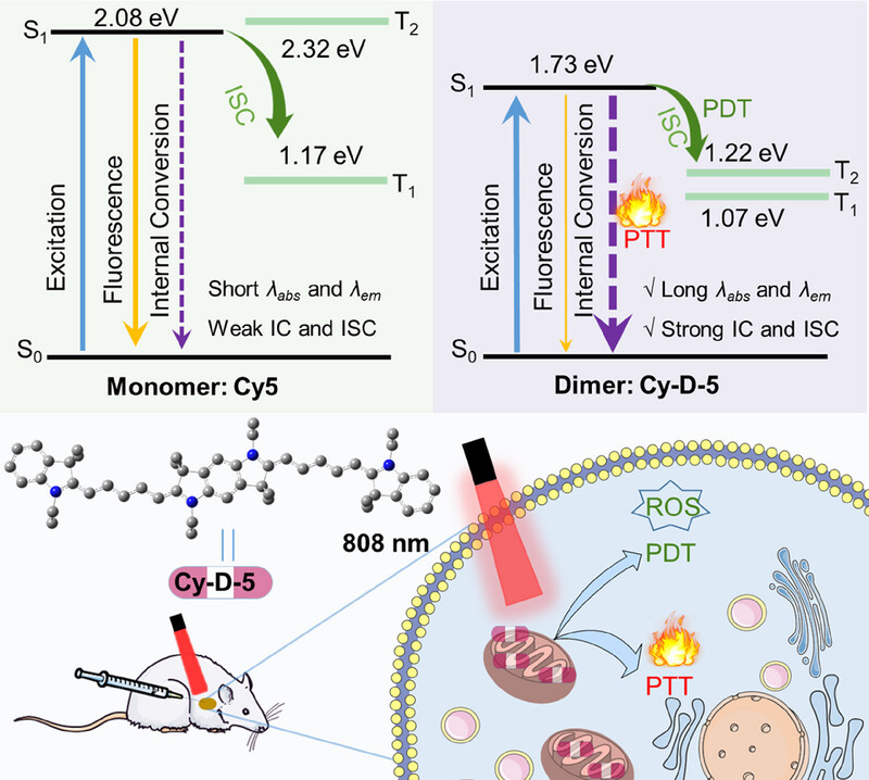 AggregateOA's tweet image. Early View💡
"Dimerized Pentamethine #Cyanines for Synergistically Boosting Photodynamic/Photothermal Therapy" by Xiaoqiang Chen et al. @ShenzhenUni @WileyBiomedical #benzene #dimer #Jaggregate #Haggregate #PDT #PTT 

Check👉doi.org/10.1002/agt2.7…