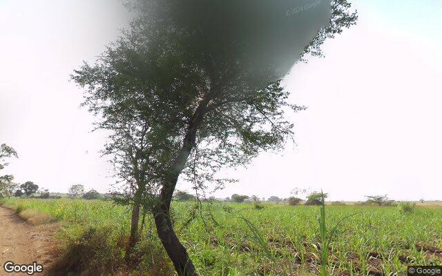 #54231
Shirol, Karnataka 587313, India
map: google.com/maps/place/16.…