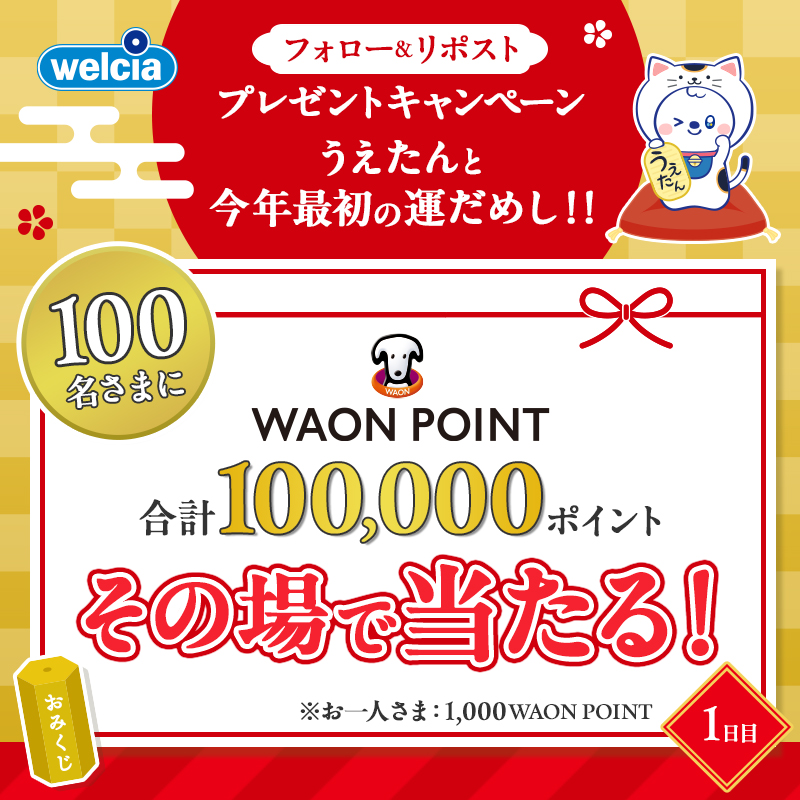 welcia_jp's tweet photo. 🎉❤⊹ ࣪˖ ┈┈
合計100,000WAON POINTが
100名さまにその場で当たる！
　　　　　　　┈┈ ˖ ࣪⊹💛🎉
＼1日目／
#うえたんと今年最初の運だめし🎊

応募方法
①@welcia_jpをフォロー
②この投稿をリポスト
③以下のページから応募
https://t.co/faECoMbufY

毎日運だめしできるですʕ๑・ᴥ・๑ʔ✨