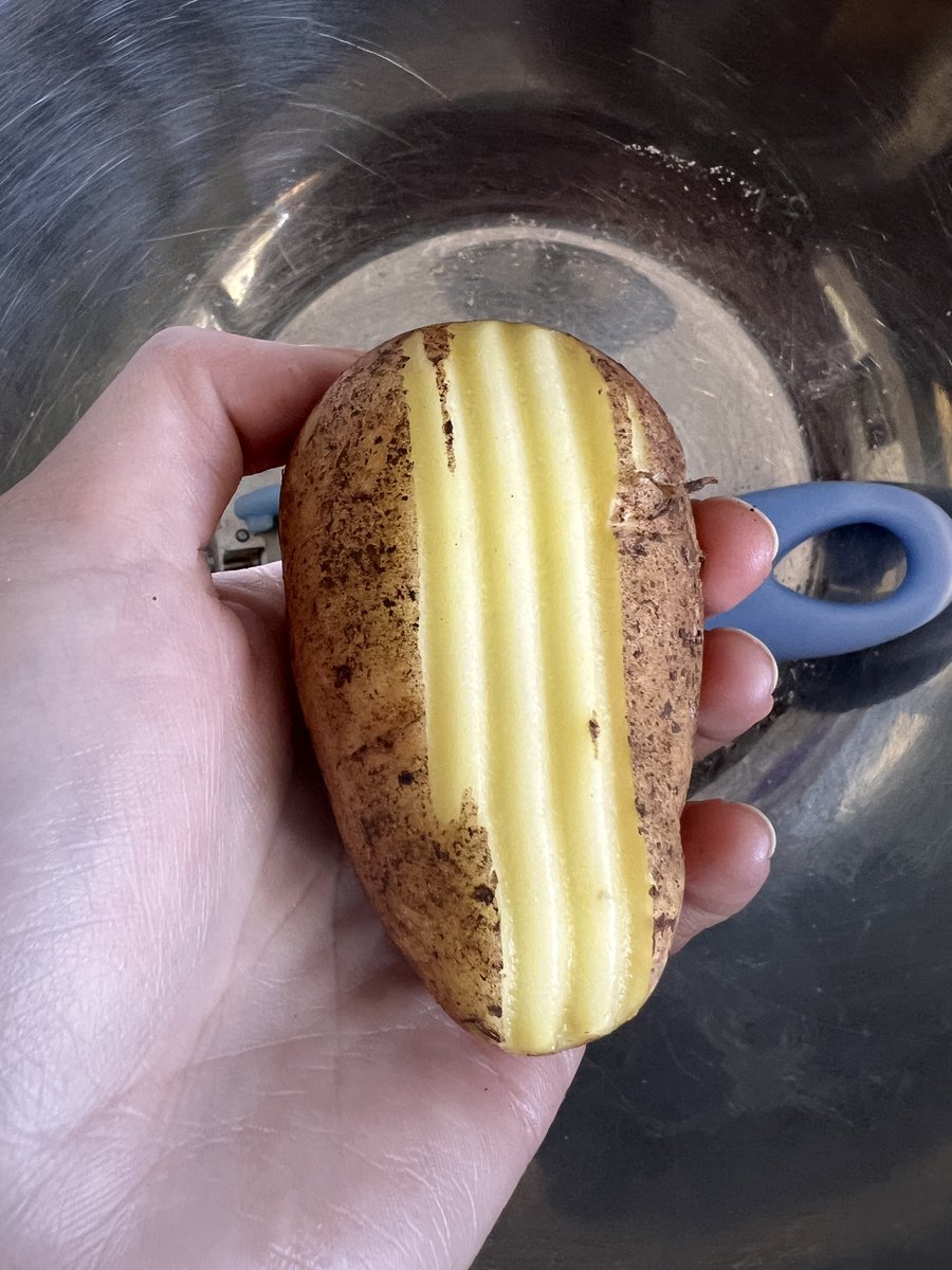 Aowah ☁️🐾 Dragon Vtuber tweet media