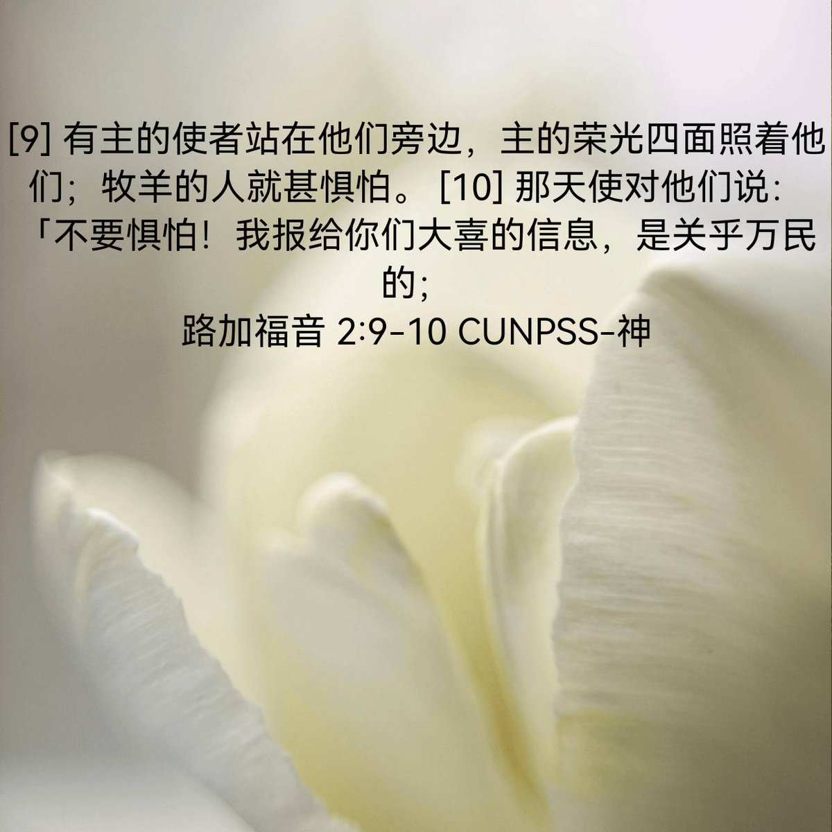Jetfuchin1's tweet photo. 路加福音 2:9-10 CUNPSS-神
[9] 有主的使者站在他们旁边，主的荣光四面照着他们；牧羊的人就甚惧怕。 [10] 那天使对他们说：「不要惧怕！我报给你们大喜的信息，是关乎万民的； 

https://t.co/EcOfumBkKr https://t.co/M6CojVMXY2