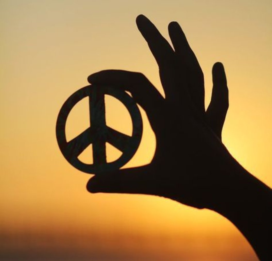 Д○брый КဗТ🐾™️ tweet media