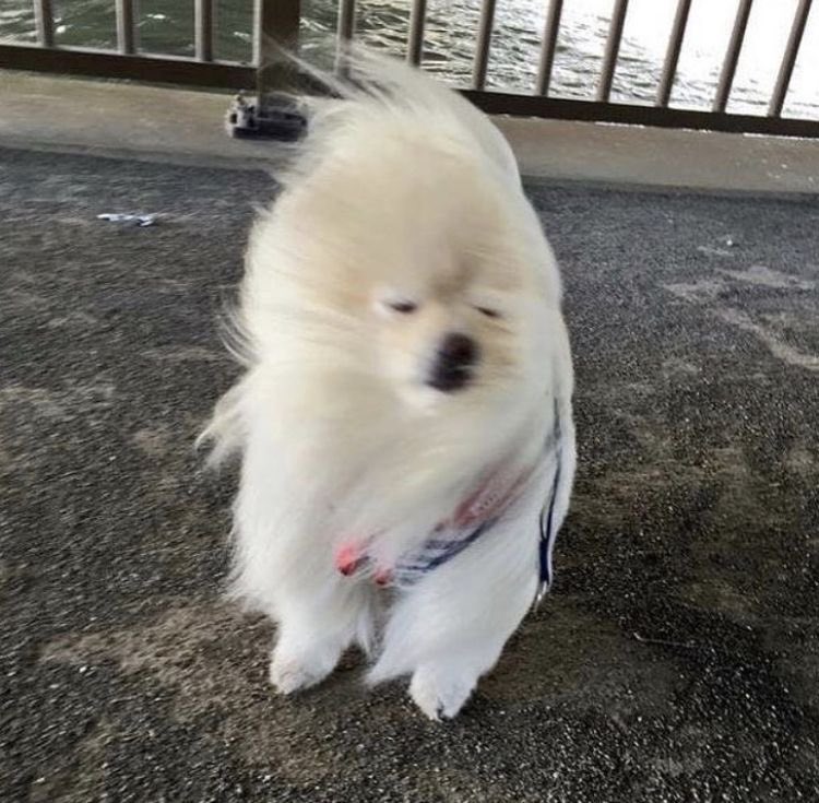 yoxrgravity's tweet image. กูตอนเจออากาศเช้านี้