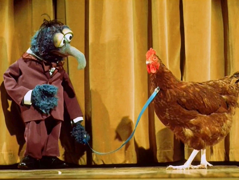 Muppet Pictures (@muppetpictures) on Twitter photo 