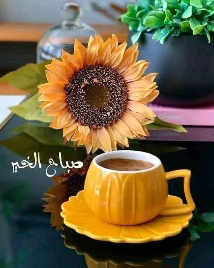 nadaelrayehan's tweet image. مع رائحة القهوة 
تتفتح زهور الصباح.. وتشرق شمس السعادة،
فأجمل طقوس الصباح فنجان قهوة 
صباح الخير والسعادة

#حروف_وقهوة
#رباب_الكلم 
#زبرجد_حرف 
#ال_الشعر
