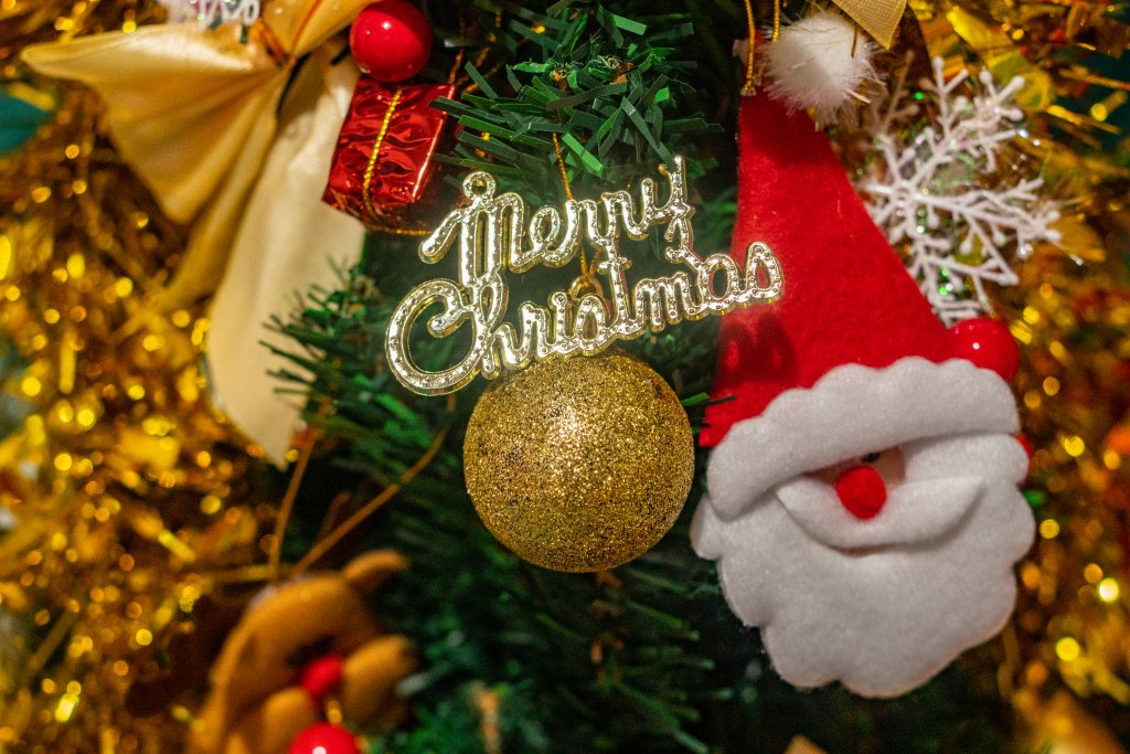cytojournal's tweet photo. 🎄✨Merry Christmas from CytoJournal!🎄✨  

Wishing you joy, peace, and scientific inspiration in the New Year! 🧪

#HappyHolidays #MerryChristmas #Cytojournal https://t.co/Utpz3ZJ73D