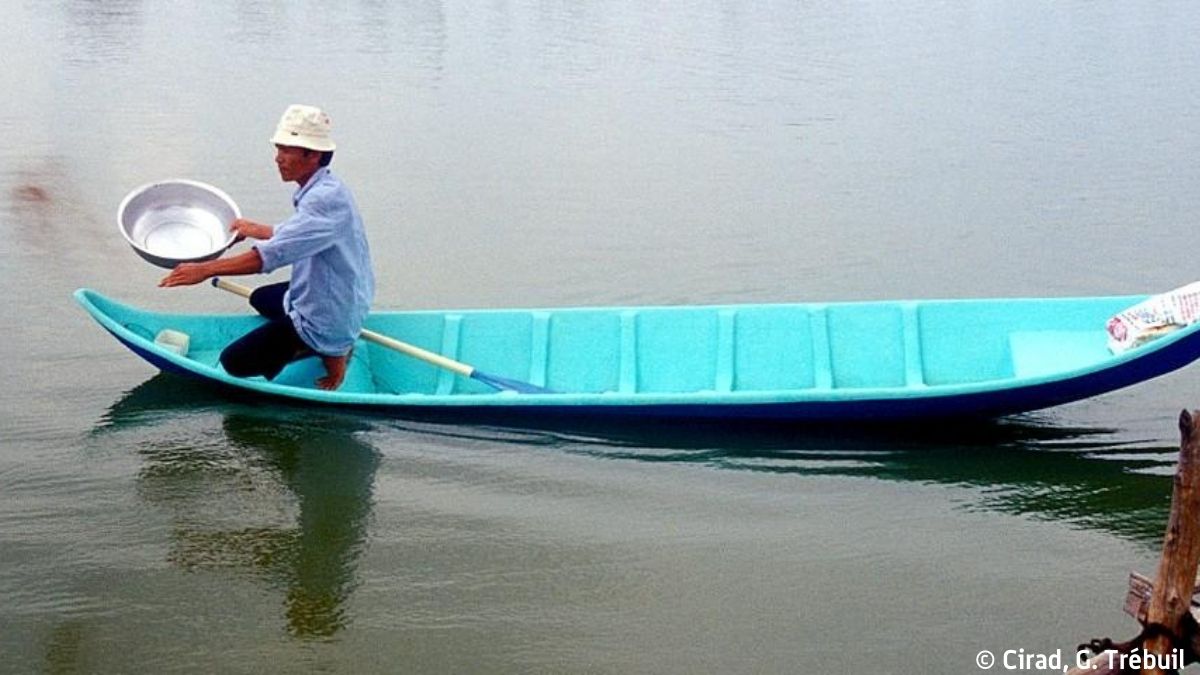 Cirad (@cirad) on Twitter photo The Mekong Delta 🇻🇳 is one of the world's leading food crop producers, but farming is under threat. The Vietnam government, EU & <a href="/FAO/">Food and Agriculture Organization</a> are launching STAR-FARM, a project aimed at helping the delta's agrifood systems achieve agroecological transition.
👉 cirad.fr/en/cirad-news/… The Mekong Delta 🇻🇳 is one of the world's leading food crop producers, but farming is under threat. The Vietnam government, EU & <a href="/FAO/">Food and Agriculture Organization</a> are launching STAR-FARM, a project aimed at helping the delta's agrifood systems achieve agroecological transition.
👉 cirad.fr/en/cirad-news/…