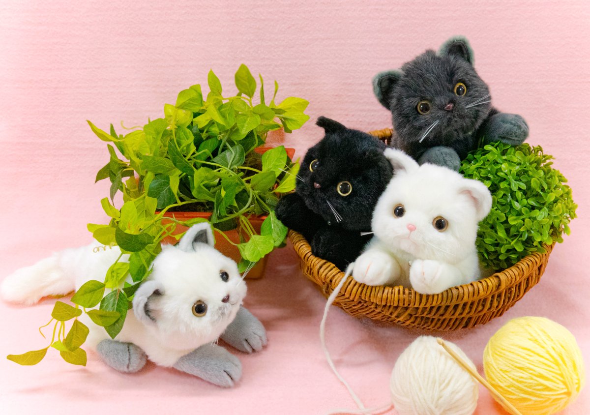 新商品のおしらせ】 「りくのなかまたち」に ふわふわちんまりとした