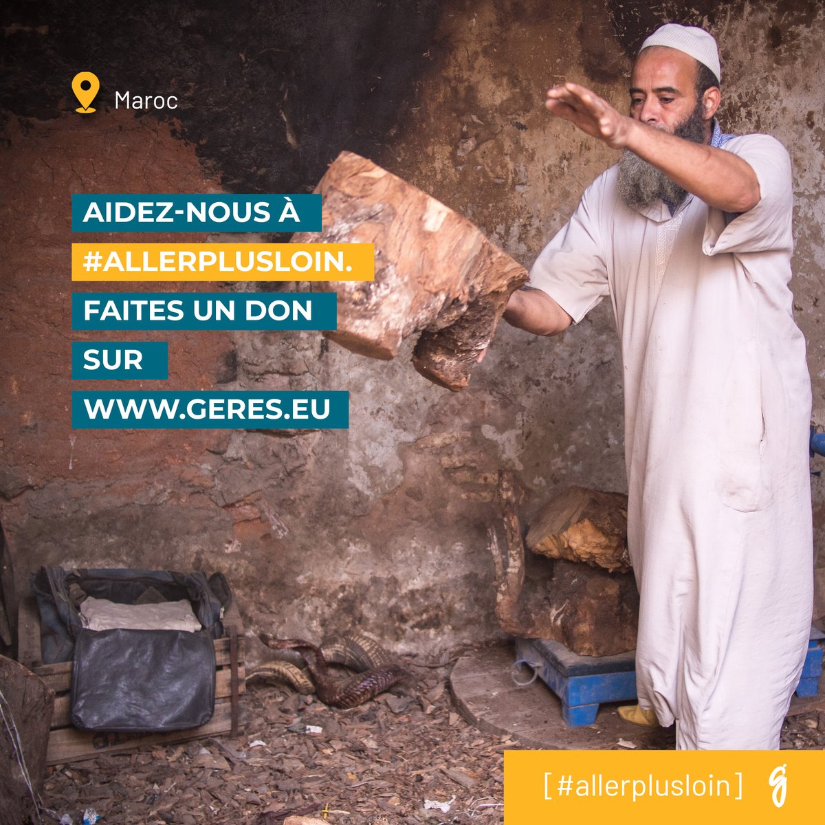[#allerplusloin]  Au Maroc, pour une transition écologique et solidaire, où le Geres agit pour promouvoir les pratiques d’efficacité et de sobriété énergétique  💡

Aidez-nous à #allerplusloin💫 Faites un don sur  helloasso.com/associations/g…