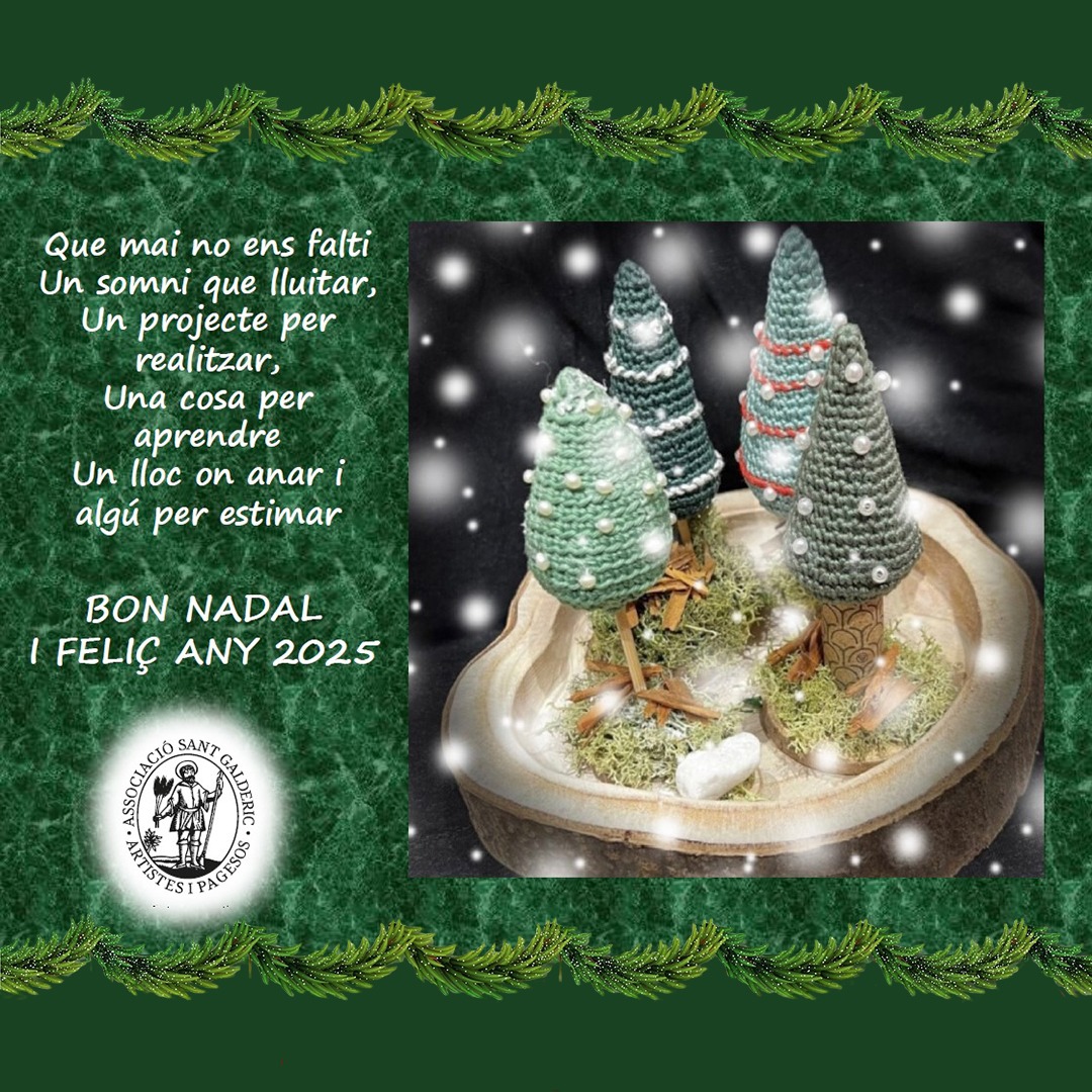L´Associació Sant Galderic us desitja que la màgia nadalenca ompli cada racó del vostre cor. ♥️

BON NADAL I FELIÇ ANY 2025!!
🎄🧑‍🎄🫶🥰