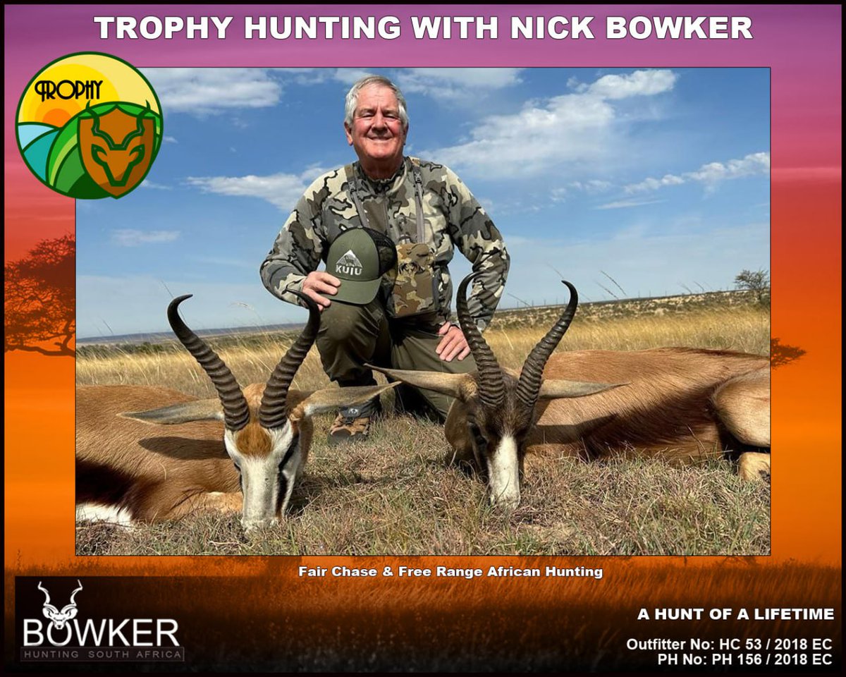 BowkerHuntm's tweet image. #springbuck #nickbowker Springbuck ewes gain sexual maturity at 6 months and social maturity after 10 months when they start mating. Rams only reach social maturity at the age of 30 months when they are able to compete.