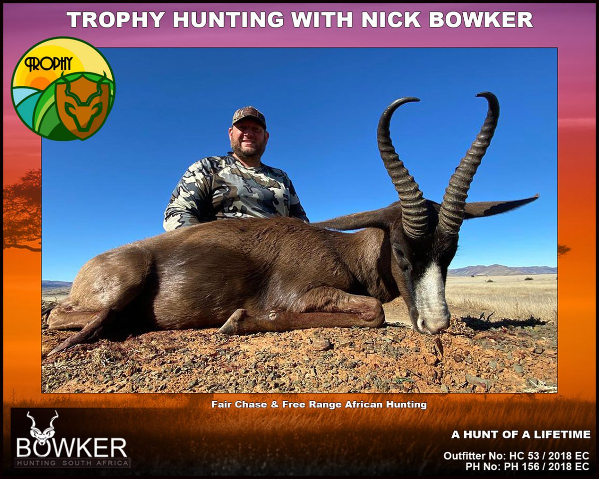 BowkerHuntm's tweet image. #springbuck #hunt #nickbowkerhunting Springbuck lambs join crèches for the first three weeks after birth and then follow the family herd.