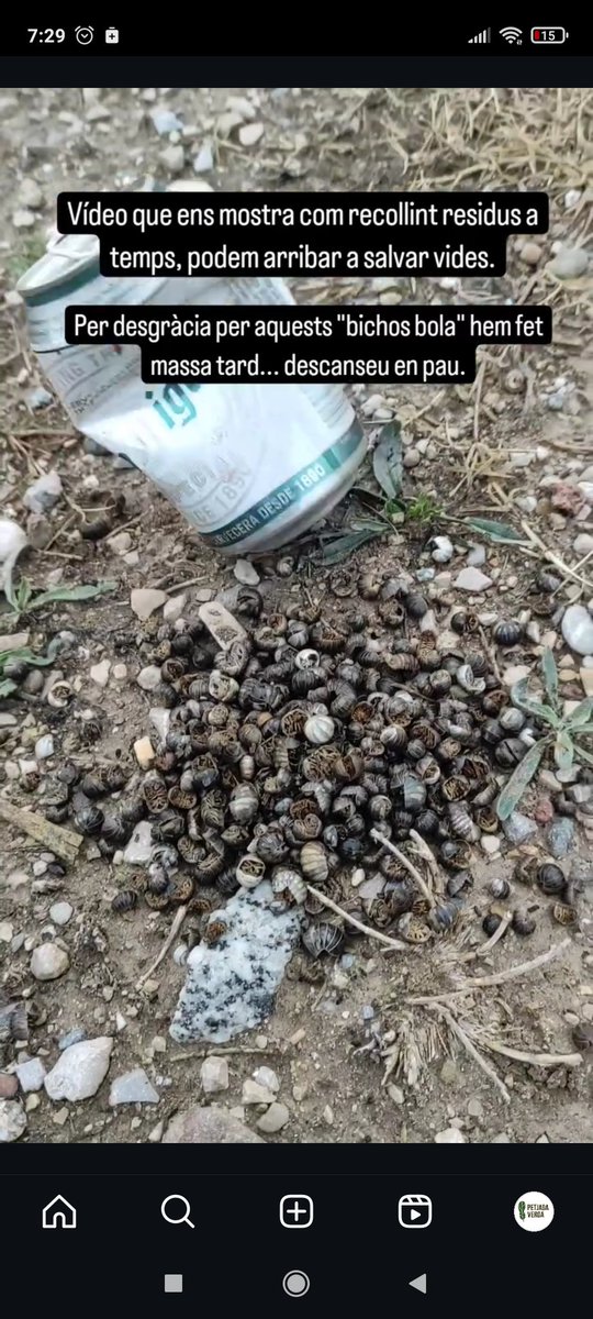 PetjadaVerda tweet media