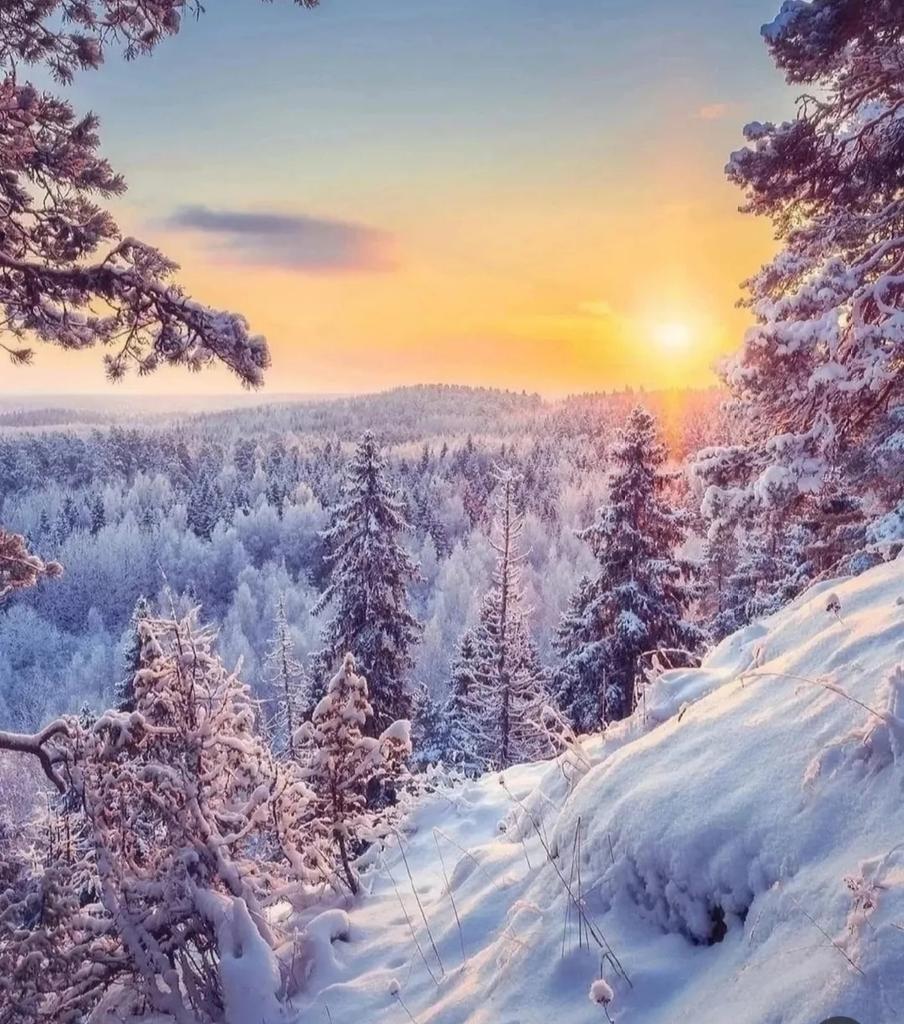 MirkoVasi2's tweet photo. Good morning, happy week ahead 🌞❄️☕☃️🎄 https://t.co/6yinY7lX0U
