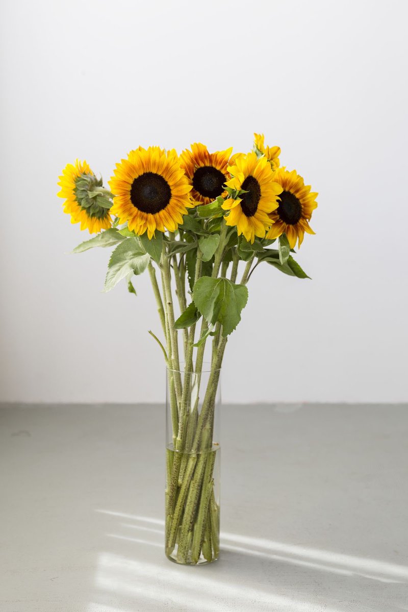 Selamat siang Sensei, saya datang dengan bunga yang cantik untuk para sensei ❤️

n. don’t forget to klik ‘alt’
( <a href="/HattouriSensei/">服部、HANZŌ.</a> <a href="/KashiwagiSensei/">柏木、Kujō</a> )