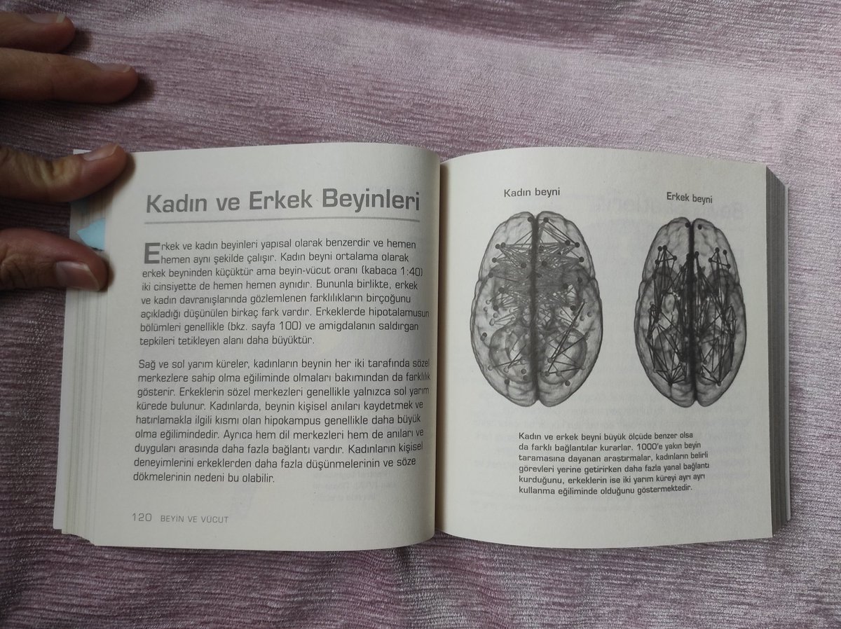 Bedenegitimi52 (@bedenegitimi52) on Twitter photo 