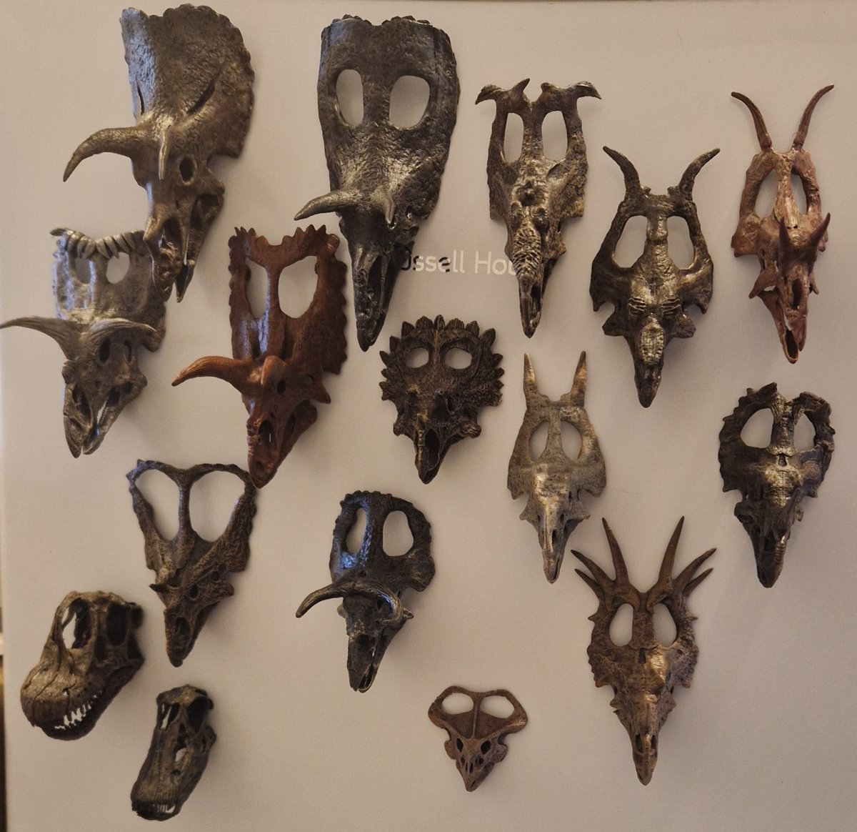TetZoo's tweet photo. Very pleased to own most - but not all - of the excellent #ScaledBeast miniature magnetic dinosaur skulls made by the excellent @ruadhribrennan. They're available from https://t.co/I1eMRovceg! #dinosaurs #skulls https://t.co/q64PffBuHX