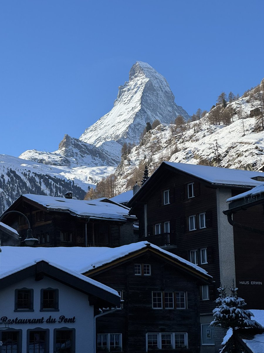 Sean Finn (Official) tweet media