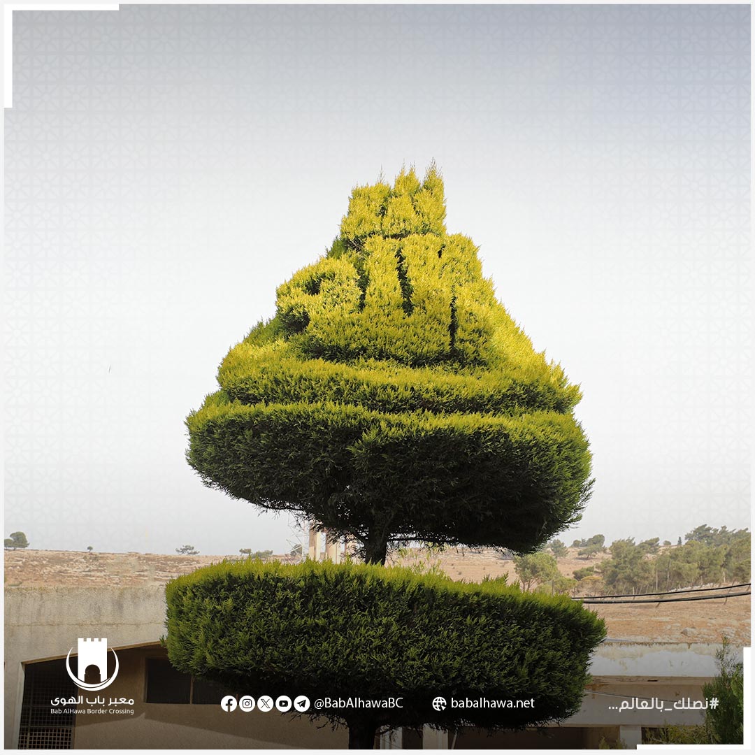 babalhawabc's tweet photo. الثقة بأن الله لن يضيعك بعد أن علقت حبال الأمل فيه، كافية بأن تضمن لك نهاية الطريق.
أسعد الله صباحكم متابعينا بكل خير
#باب_الهوى #سوريا
https://t.co/cB8EhHu0Bb
الحساب الرسمي على انستغرام:
https://t.co/o8bu1vl68x https://t.co/24njGEOJ9q