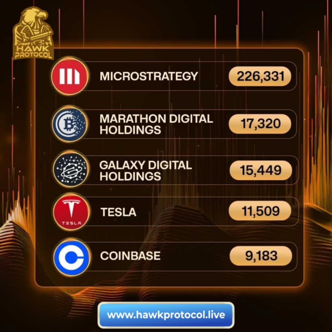 Hawk Protocol tweet media