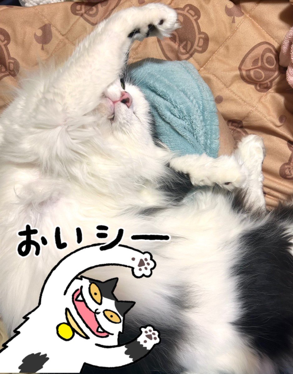 フジイ tweet media