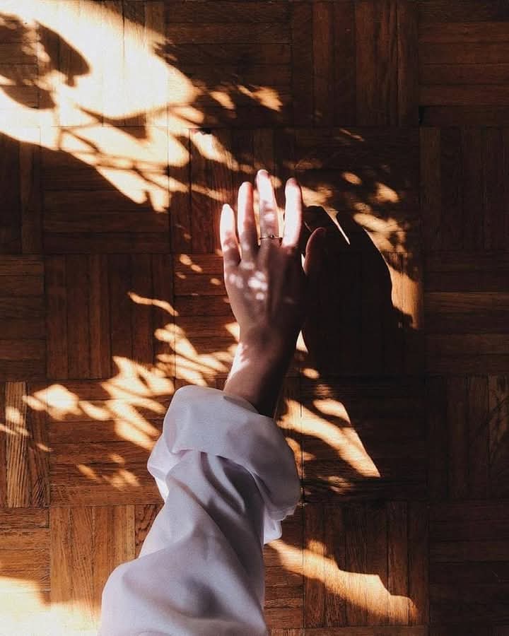 nadaelrayehan's tweet image. " الحقيقة ليست شيئاً نمتلكه، بل شيئاً نسعى لبلوغه..."

_ سقراط

#حروف_وقهوة
#رباب_الكلم 
#زبرجد_حرف 
#ال_الشعر