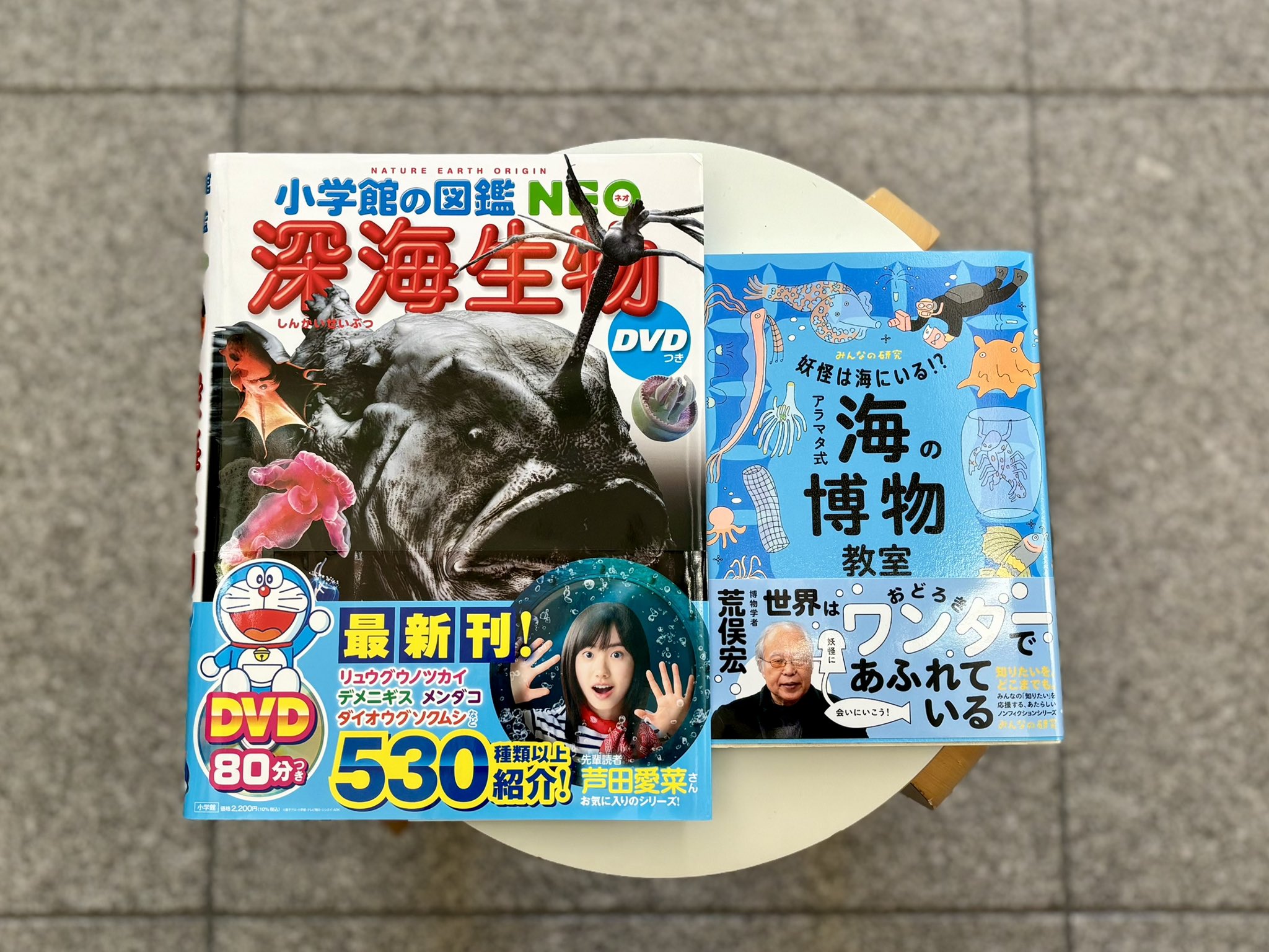 新メディア『サカナト』本＆Web同時創刊のお知らせ｜お知らせ