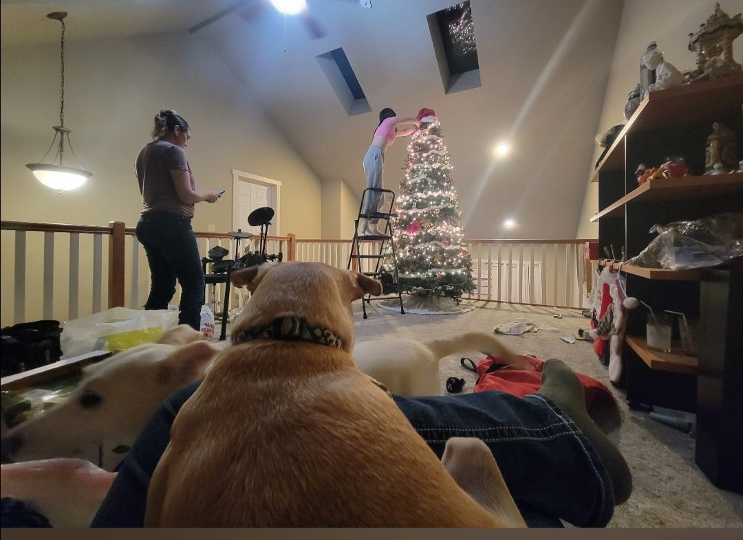 John M. Cameron tweet media