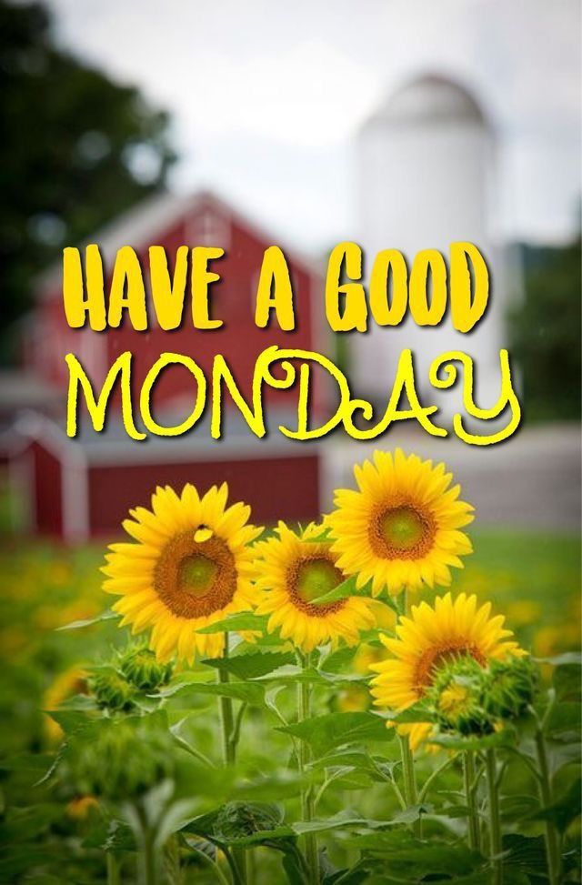 KMirtha3210's tweet photo. Wake up, smile, and greet the day with open arms. A fresh new start is here! 🌞💖 Good Morning. https://t.co/8KvHj9xxYf
