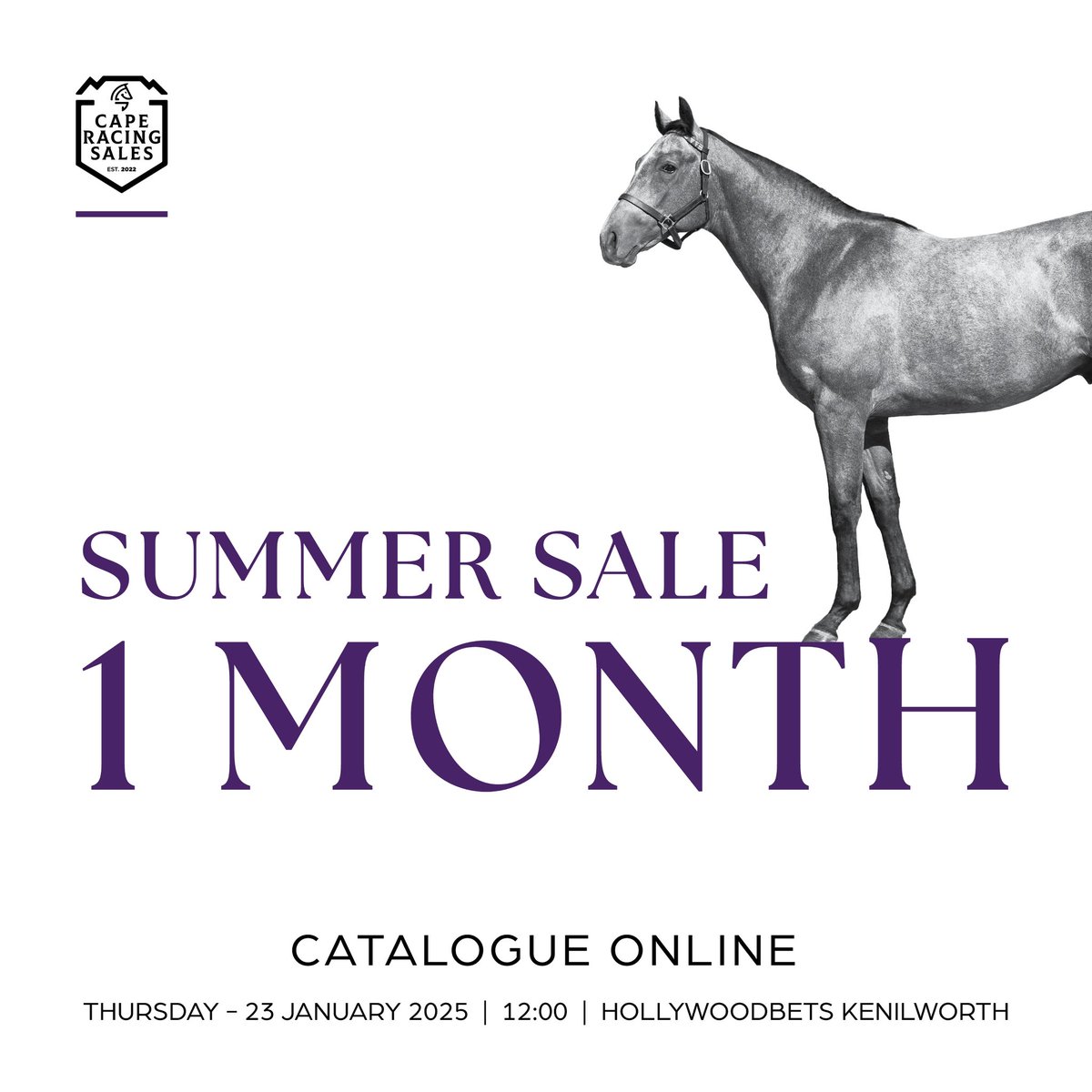 RaceCoastSales's tweet image. The countdown begins to the Summer Sale 2025

Get your catalogues, book your tables and apply for your digital buyers cards

#SummerSale2025 
#caperacingsales 
#jointhepassion 
#biggerbettercaperacing