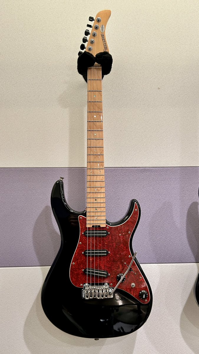 しれっと出していましたがmy new gear FERNANDES RT-DLX (2本目