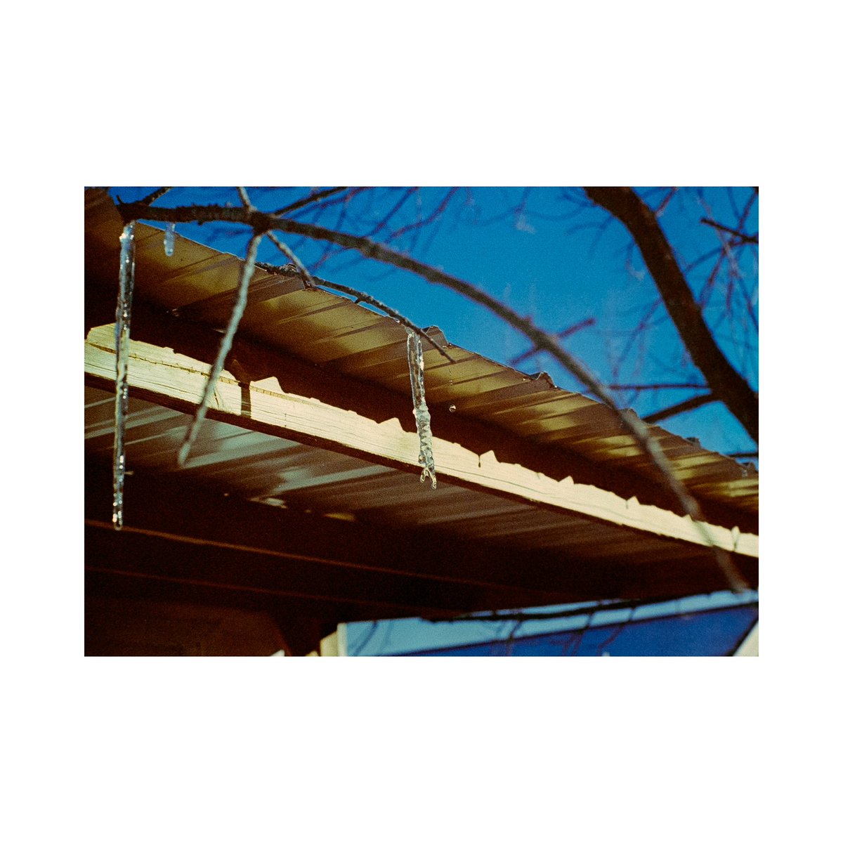 SKemp_97's tweet photo. The first of about a year and a half worth of film photos to catch up on posting 🎞️
Shot on 35mm Portra 400 https://t.co/381LY7V81t